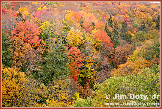 Cut River Gorge. Photo copyright Jim Doty Jr.