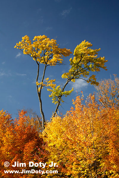 Fall color, Michigan's UP. Photo copyright Jim Doty Jr.