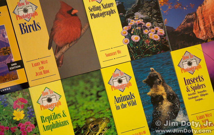 Wildlife Guide Books