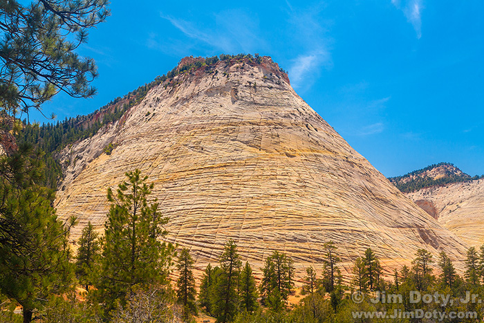 Checkerboard Mesa, Zion National Park