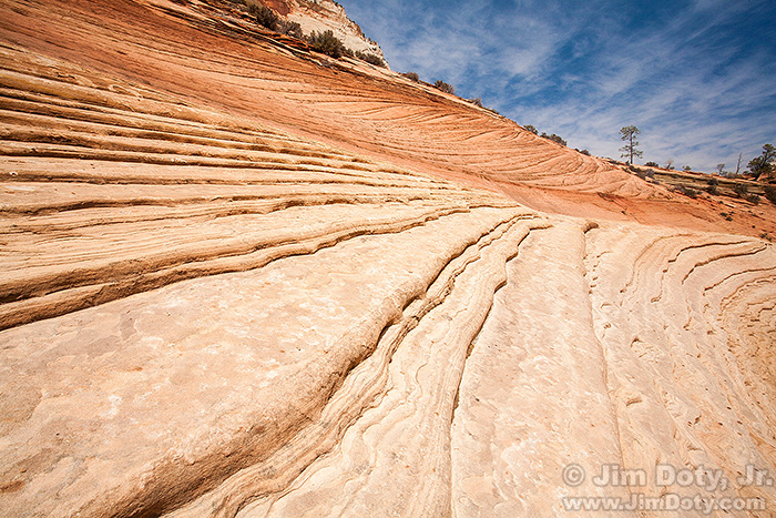 Petrified Dunes, Zion National Park.