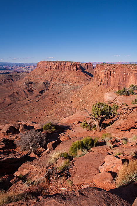 Grand View Point, Canyonlands National Park, Utah. 