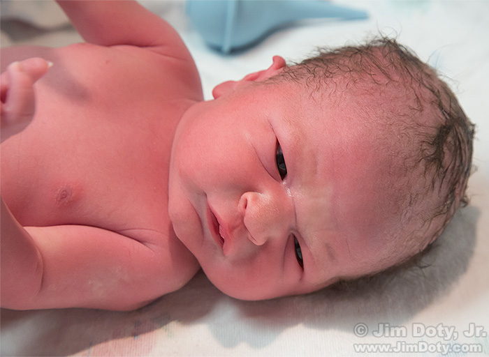 Baby Boy, A Few Minutes Old.