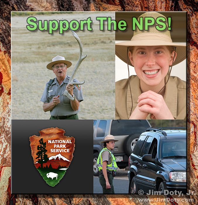 Support the NPS!