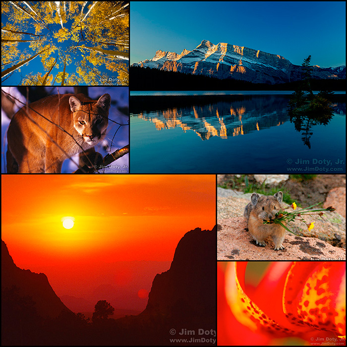 Nature Photography Workshop in Colorado