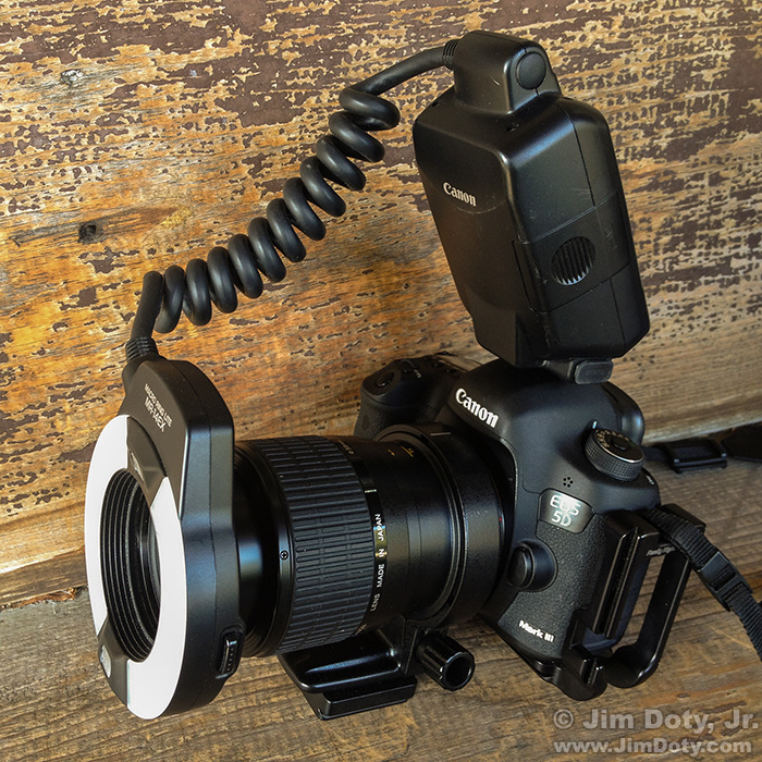 Canon 5D Mark III, Canon MP-E 65mm f/2.8 1-5x Macro Photo Lens, and Canon MR-14EX Ring Lite.
