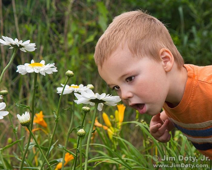 Terran in the Garden