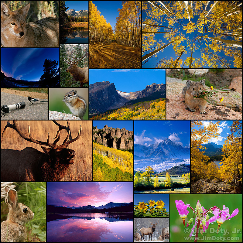 Nature Collage