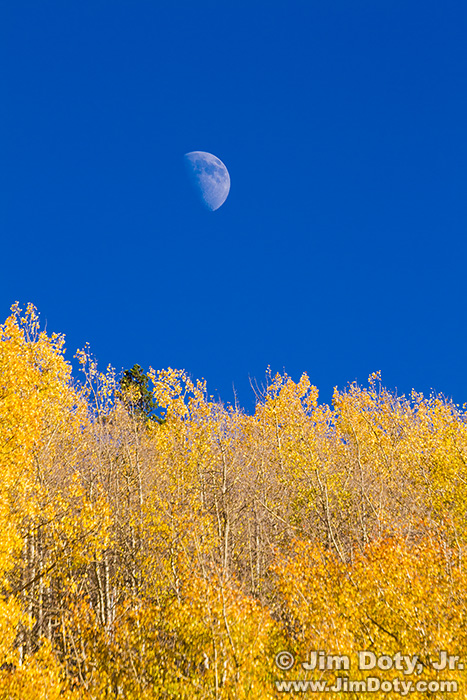 Moon over Aspen, Marshal Pass, Colorado