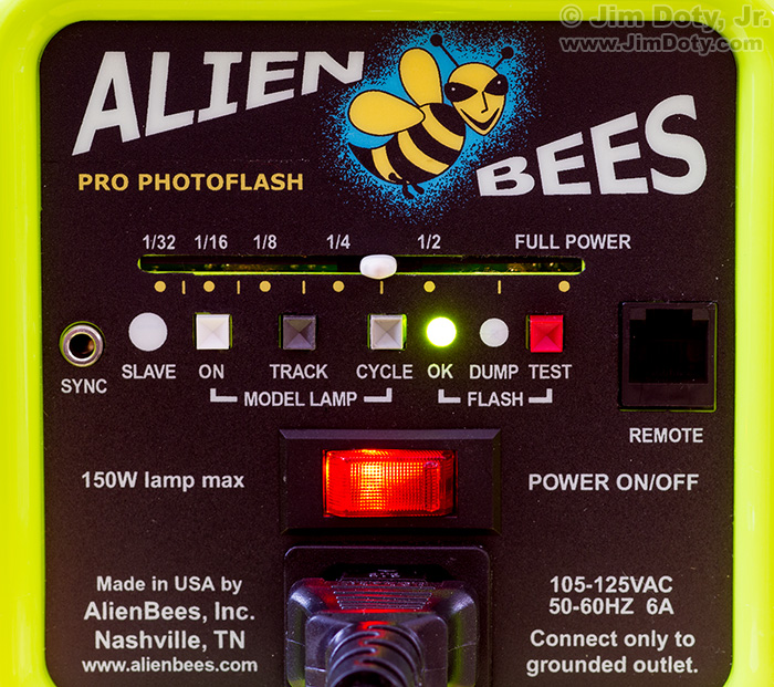 Alien Bees B800 studio flash set to 3/8 power.