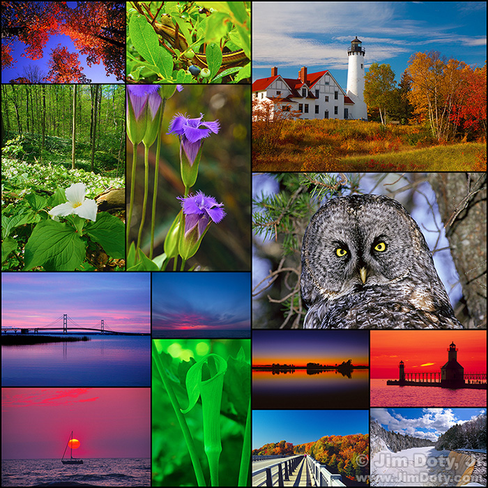 Michigan Nature Collage