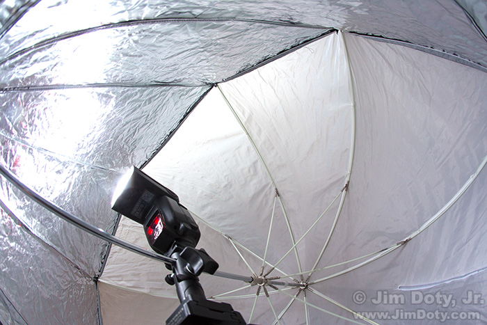 Bob Davis 45 inch Halo softbox on an umbrella frame, Yongnuo 600EX-RT speedlite and umbrella adapter on a tripod.
