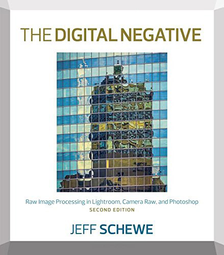 The Digital Negative, 2nd edition