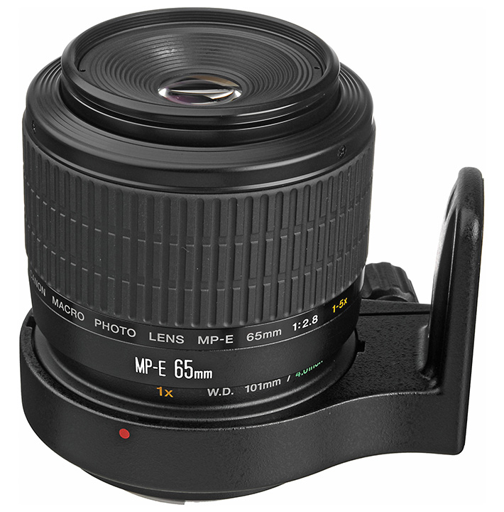 Canon Macro Photo MP-E 65mm 1x-5x Lens