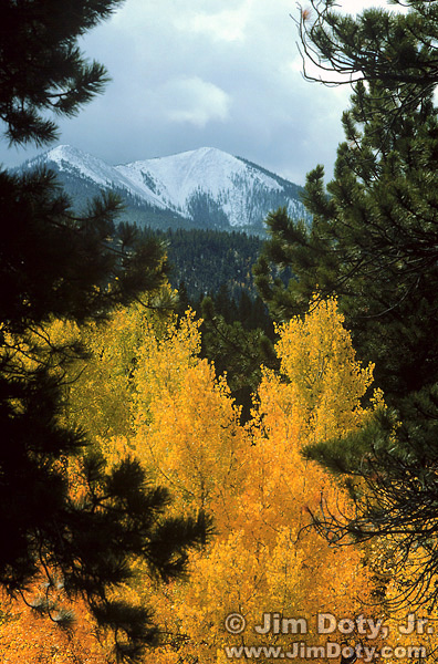 Aspen and Porphyry Peak near O'Haver Lake, Colorado. September 30.
