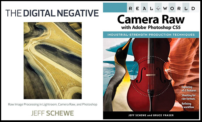 Jeff Schewe and Bruce Fraser on RAW Camera Files