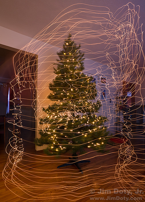 Hanging lights on a Christmas tree.