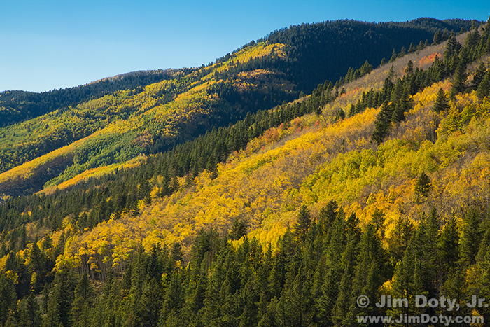 Aspen, Marshall Pass, Colorado.