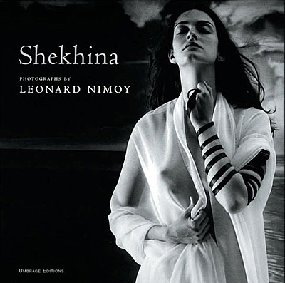 Cover of the book Shekhina.