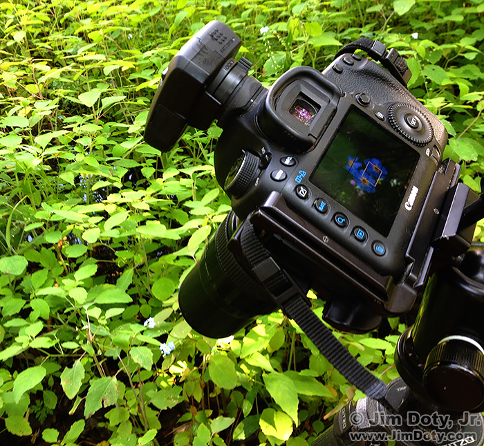 Canon 5D Mark III camera body and Canon EF 100mm f/2.8/macro lens.