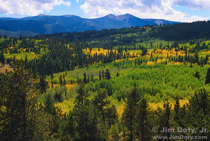 Aspen, Sangre de Cristo Mountains